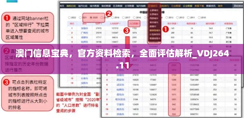 澳门信息宝典，官方资料检索，全面评估解析_VDJ264.11