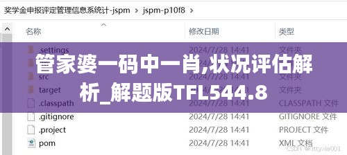 管家婆一码中一肖,状况评估解析_解题版TFL544.8