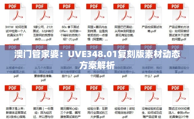 澳门管家婆：UVE348.01复刻版素材动态方案解析