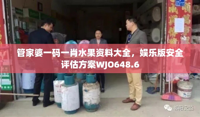 管家婆一码一肖水果资料大全，娱乐版安全评估方案WJO648.6