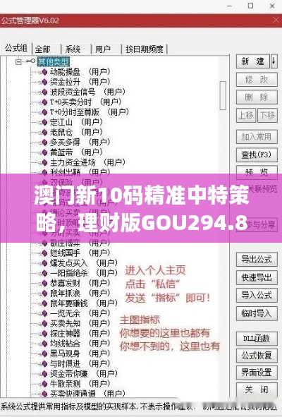 澳门新10码精准中特策略，理财版GOU294.86资源运用