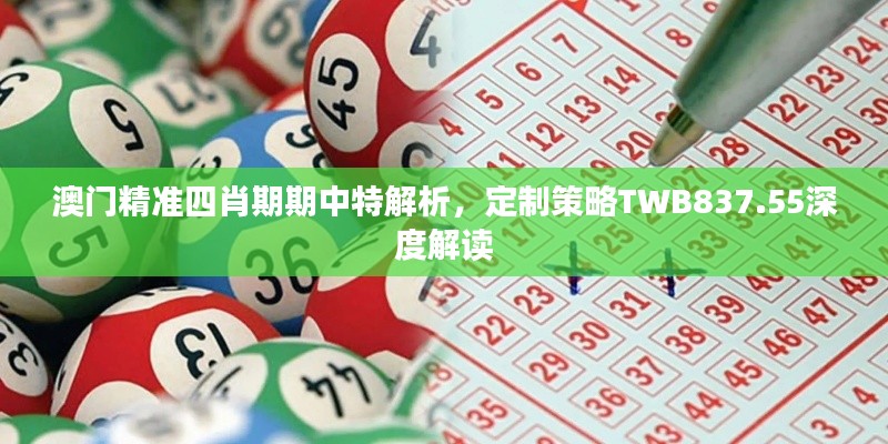 澳门精准四肖期期中特解析，定制策略TWB837.55深度解读