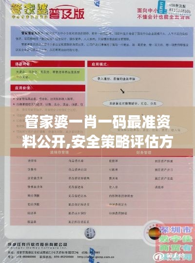 管家婆一肖一码最准资料公开,安全策略评估方案_自在版253.75