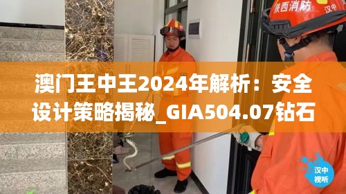 澳门王中王2024年解析：安全设计策略揭秘_GIA504.07钻石版深度解析