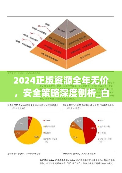 2024正版资源全年无价，安全策略深度剖析_白银版HXB444.14