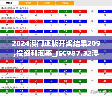 2024澳门正版开奖结果209,投资利润率_JEC987.32淬体