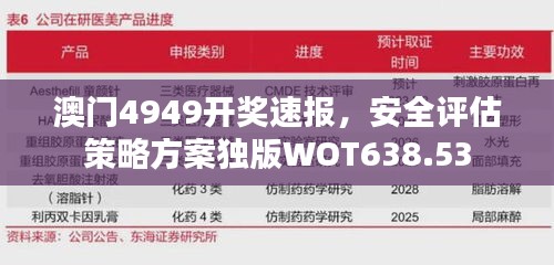 澳门4949开奖速报，安全评估策略方案独版WOT638.53