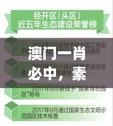 澳门一肖必中，素材策略解析_绿色OIX640.05版