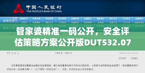 管家婆精准一码公开，安全评估策略方案公开版DUT532.07