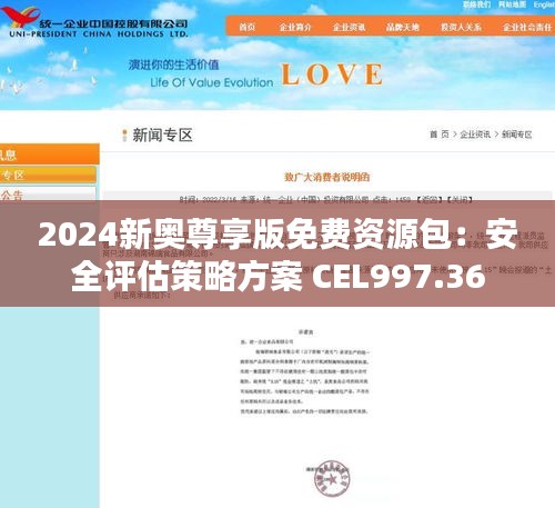 2024新奥尊享版免费资源包：安全评估策略方案 CEL997.36