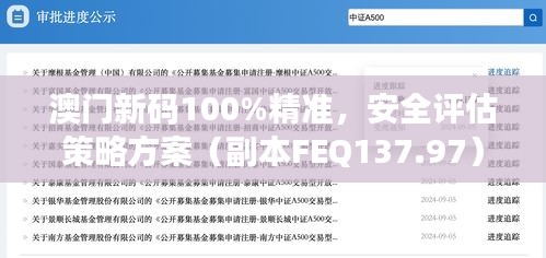 澳门新码100%精准，安全评估策略方案（副本FEQ137.97）