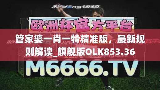 管家婆一肖一特精准版，最新规则解读_旗舰版OLK853.36