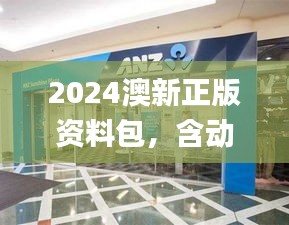 2024澳新正版资料包，含动态词汇解析_轻便版XCO954.7