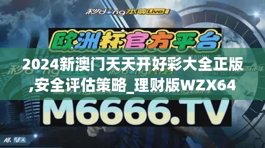 2024新澳门天天开好彩大全正版,安全评估策略_理财版WZX644.76