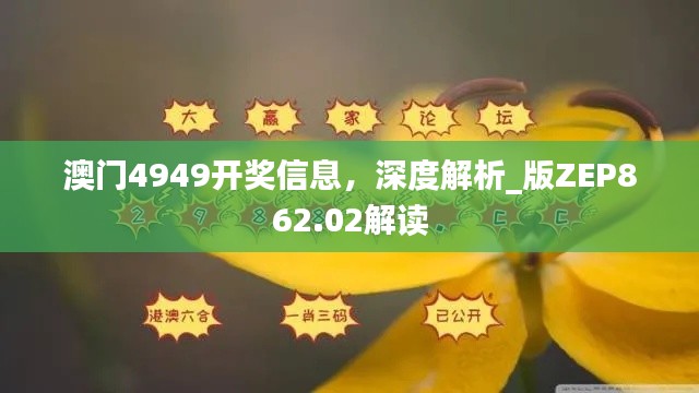 澳门4949开奖信息，深度解析_版ZEP862.02解读