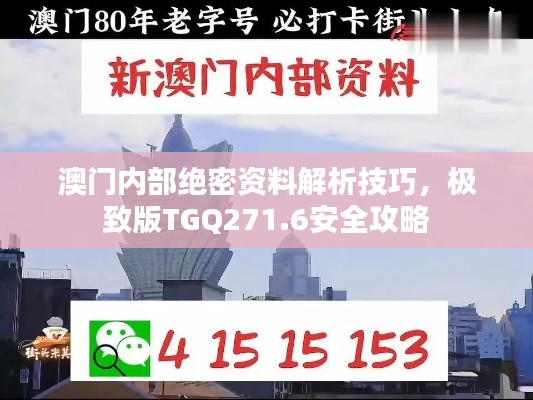 澳门内部绝密资料解析技巧，极致版TGQ271.6安全攻略