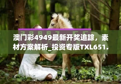 澳门彩4949最新开奖追踪，素材方案解析_投资专版TXL651.06