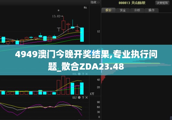 4949澳门今晚开奖结果,专业执行问题_散合ZDA23.48