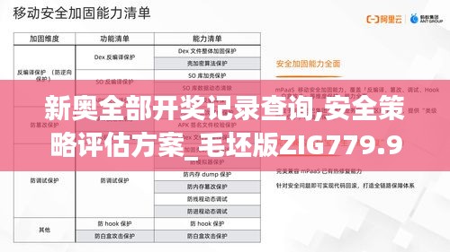 新奥全部开奖记录查询,安全策略评估方案_毛坯版ZIG779.97