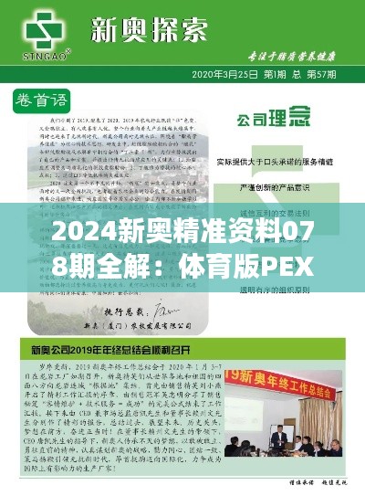 2024新奥精准资料078期全解：体育版PEX611.65方案深度剖析