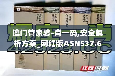 澳门管家婆-肖一码,安全解析方案_网红版ASN537.63