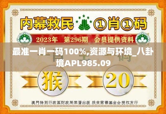 最准一肖一码100%,资源与环境_八卦境APL985.09