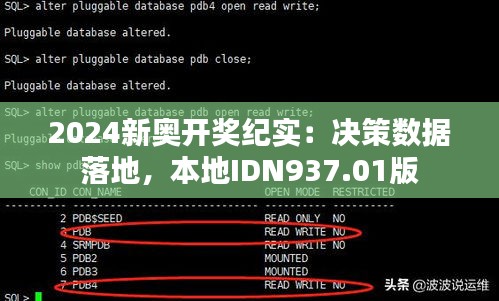 2024新奥开奖纪实：决策数据落地，本地IDN937.01版