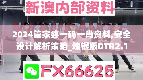 2024管家婆一码一肖资料,安全设计解析策略_魂银版DTR2.13