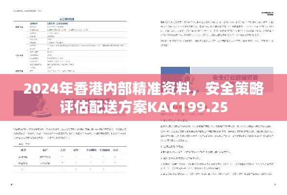 2024年香港内部精准资料，安全策略评估配送方案KAC199.25