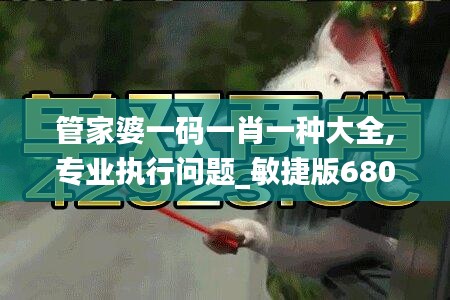 管家婆一码一肖一种大全,专业执行问题_敏捷版680.93