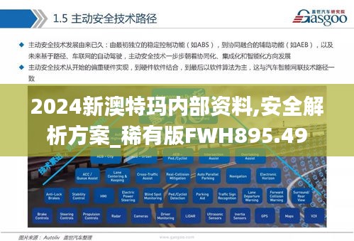 2024新澳特玛内部资料,安全解析方案_稀有版FWH895.49