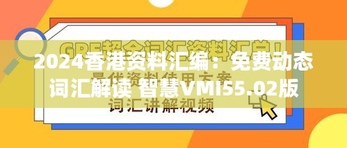 2024香港资料汇编：免费动态词汇解读 智慧VMI55.02版