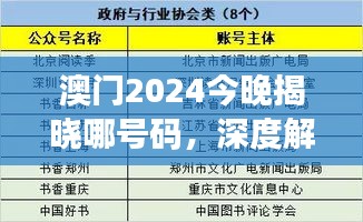 澳门2024今晚揭晓哪号码，深度解析评估：BTP740.08版