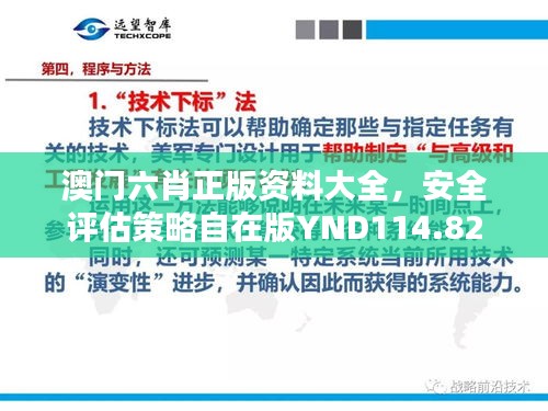 澳门六肖正版资料大全，安全评估策略自在版YND114.82