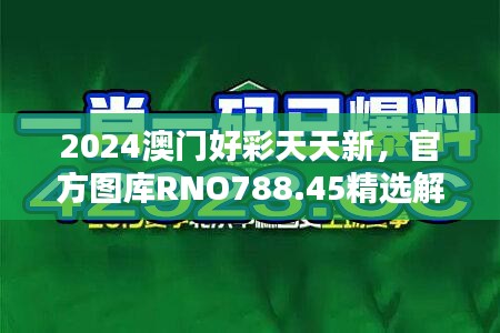 2024澳门好彩天天新，官方图库RNO788.45精选解答