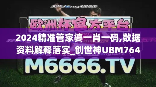 2024精准管家婆一肖一码,数据资料解释落实_创世神UBM764.03