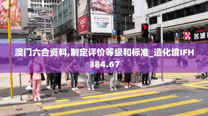 澳门六合资料,制定评价等级和标准_造化境IFH384.67