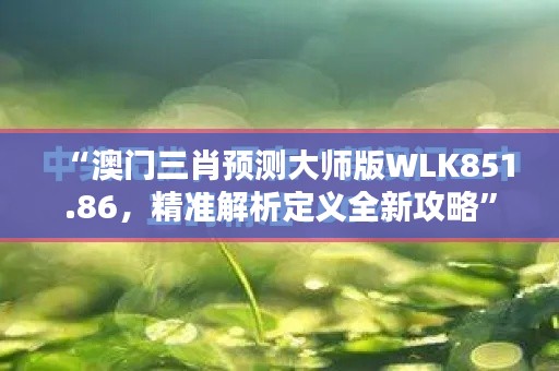 “澳门三肖预测大师版WLK851.86，精准解析定义全新攻略”