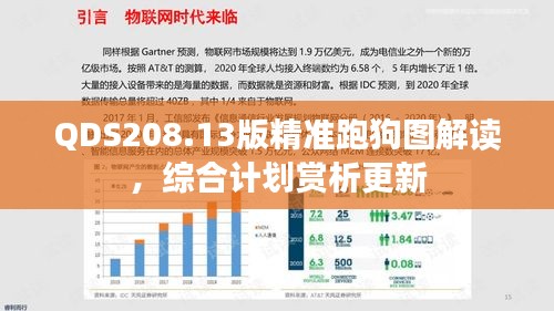 QDS208.13版精准跑狗图解读，综合计划赏析更新