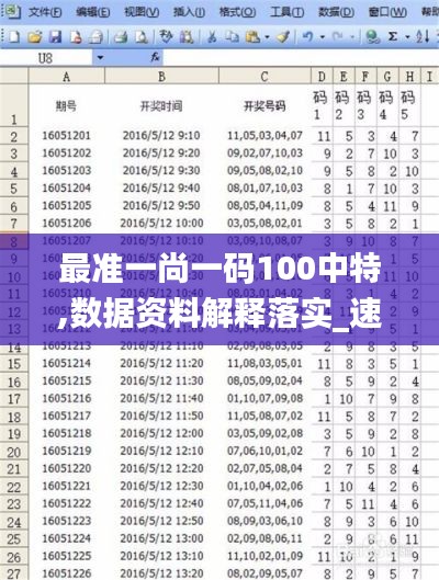 最准一尚一码100中特,数据资料解释落实_速成版SVY658.88