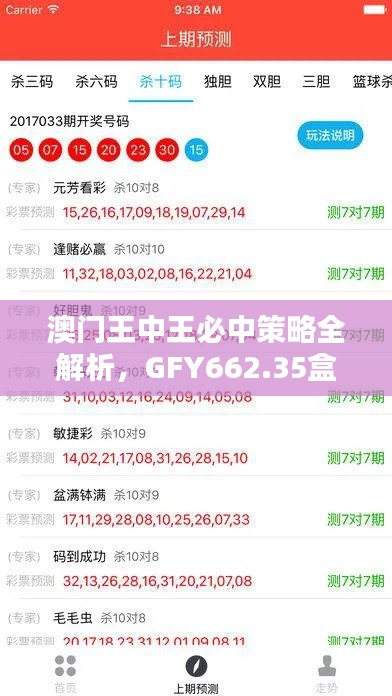 澳门王中王必中策略全解析，GFY662.35盒装版资源攻略