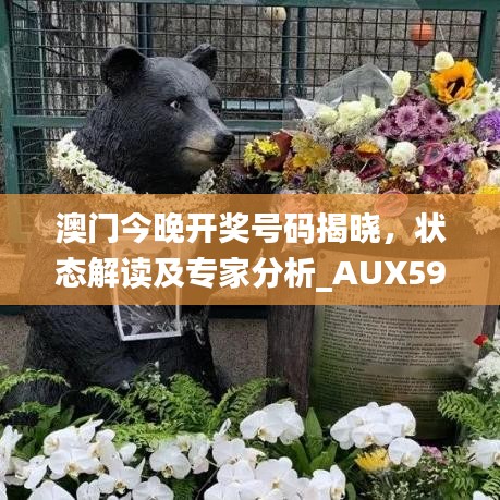 澳门今晚开奖号码揭晓，状态解读及专家分析_AUX599.05