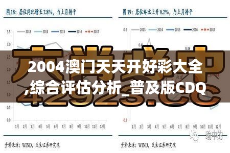 2004澳门天天开好彩大全,综合评估分析_普及版CDQ333.13