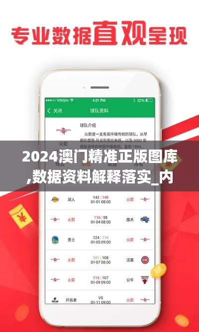 2024澳门精准正版图库,数据资料解释落实_内含版JUT948.67