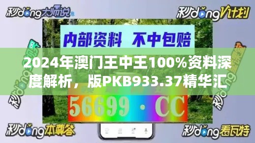 2024年澳门王中王100%资料深度解析，版PKB933.37精华汇总