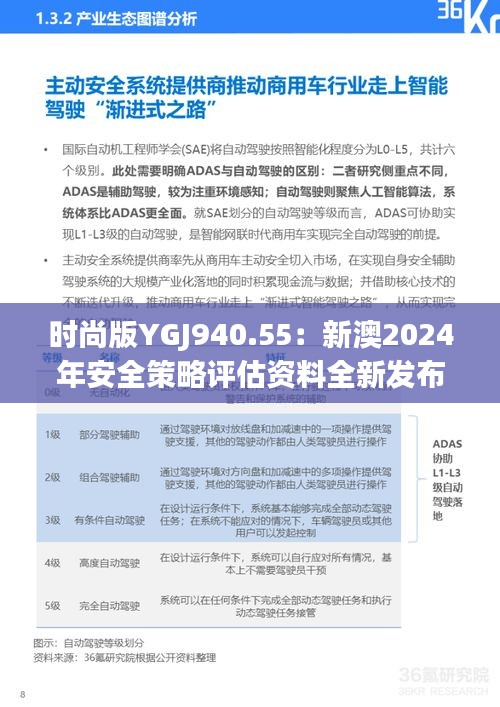 时尚版YGJ940.55：新澳2024年安全策略评估资料全新发布