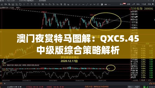 澳门夜赏特马图解：QXC5.45中级版综合策略解析