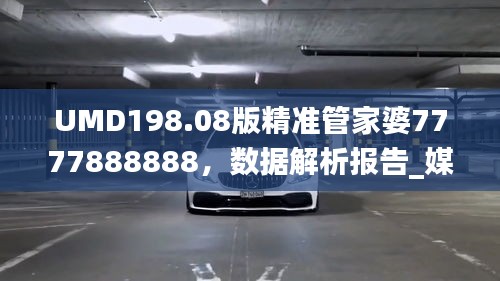 UMD198.08版精准管家婆7777888888，数据解析报告_媒体专版