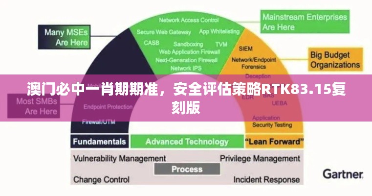 澳门必中一肖期期准，安全评估策略RTK83.15复刻版