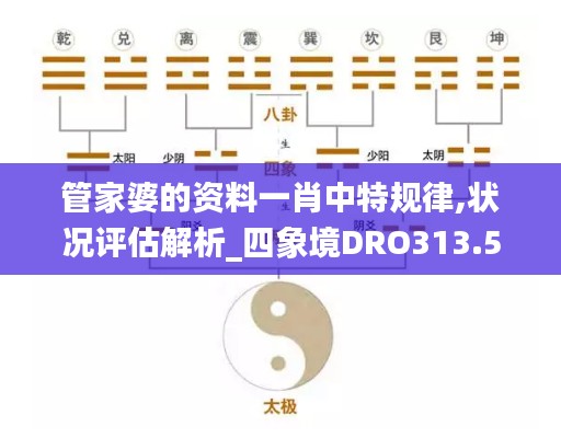 管家婆的资料一肖中特规律,状况评估解析_四象境DRO313.57